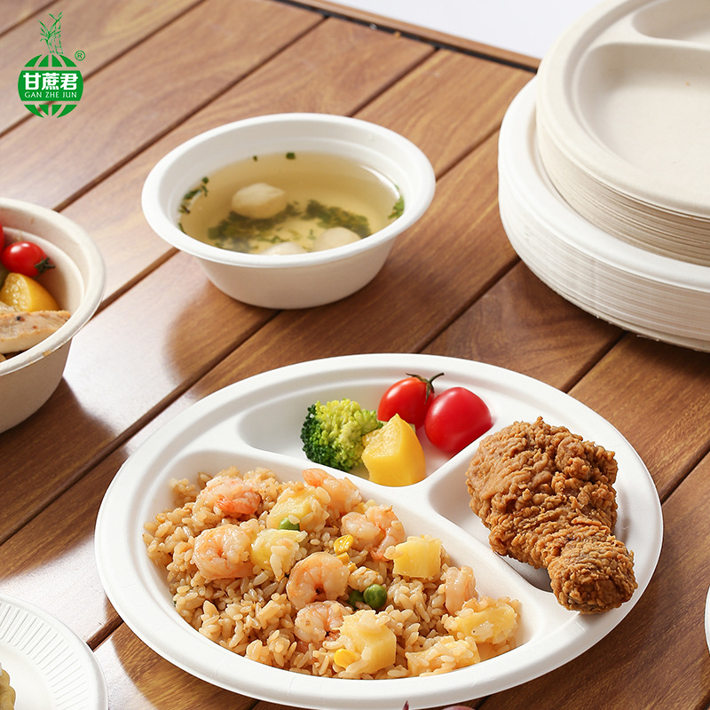 Budget Lightweight Paper Plates – 6/7/8/9/10 inch Sugarcane Pulp Camping Bowls