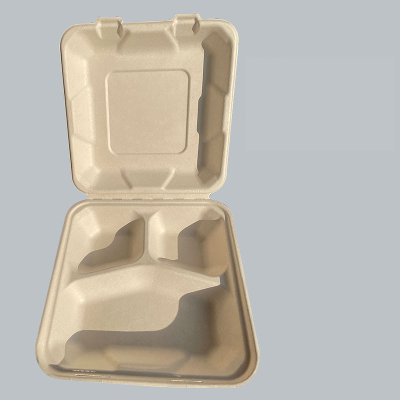 Compostable 8-inch 3-Compartment Lock Box – Sugarcane Pulp Fast Food Container