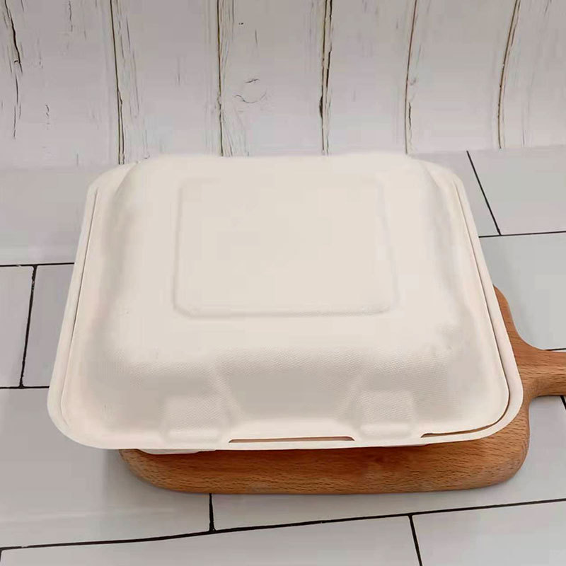 Compostable 8-inch 3-Compartment Lock Box – Sugarcane Pulp Fast Food Container