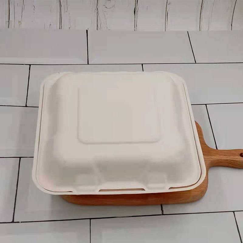 Compostable 8-inch 3-Compartment Lock Box – Sugarcane Pulp Fast Food Container