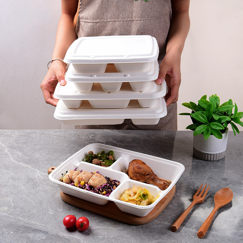 Wholesale Compostable Divided Lunch Box – Sugarcane Pulp Multi-Compartment Container