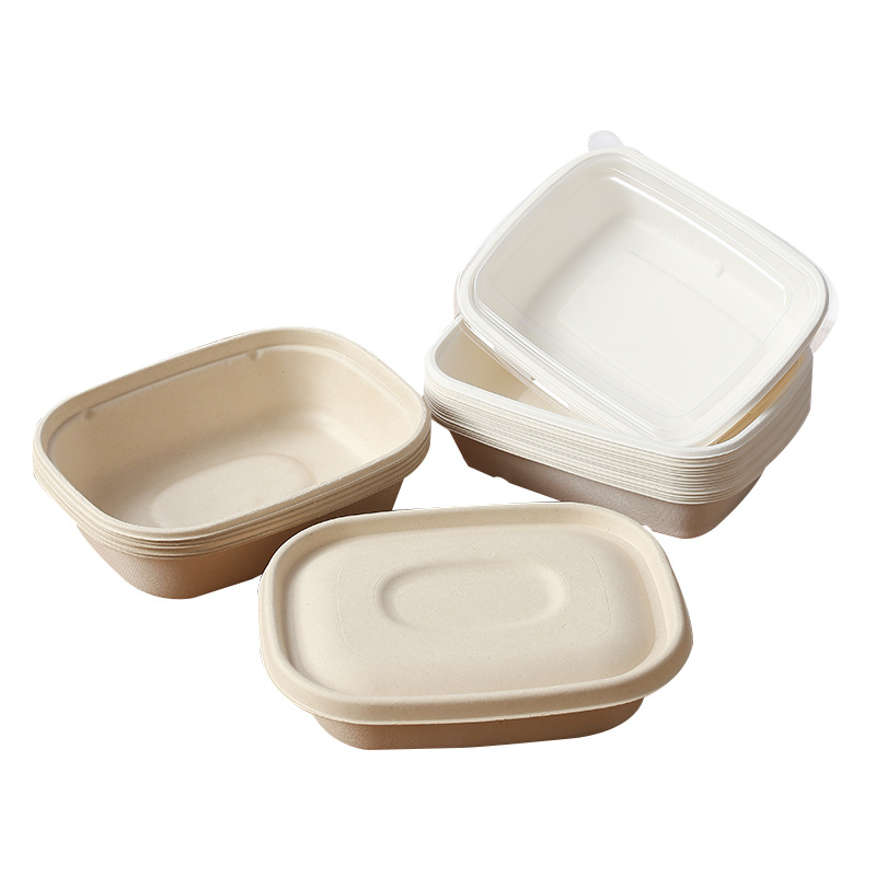 Compostable Rectangular Sugarcane Pulp Box – Fruit Salad Light Meal Picnic Container