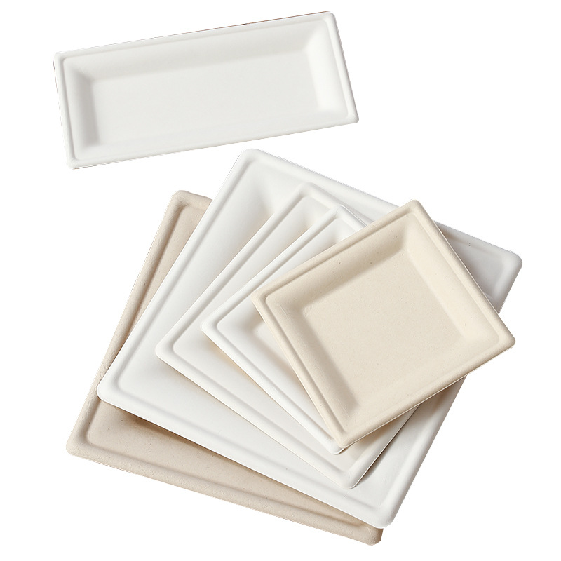 Factory Wholesale Square Biodegradable Paper Plates – Art Craft BBQ Picnic Platters