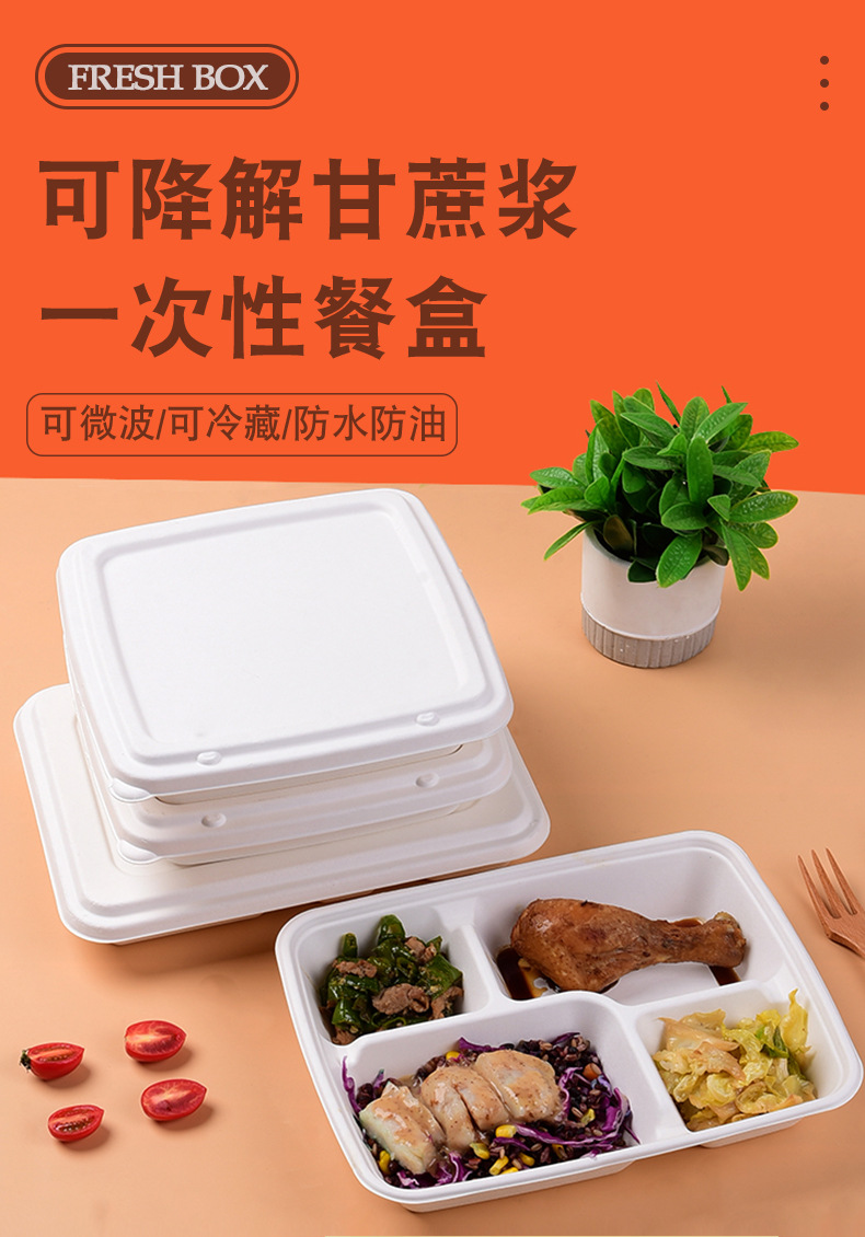 Disposable Compostable 3/4-Compartment Tray – Sugarcane Pulp Buffet Divided Container