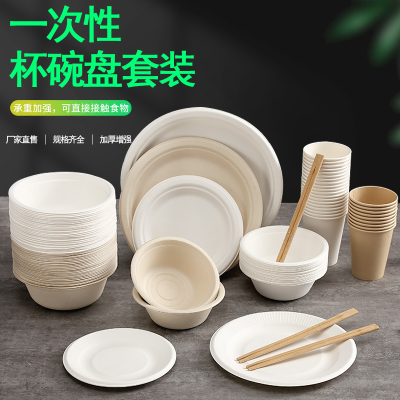 Disposable Party Set – Compostable Bowls Plates Cups Cutlery Outdoors