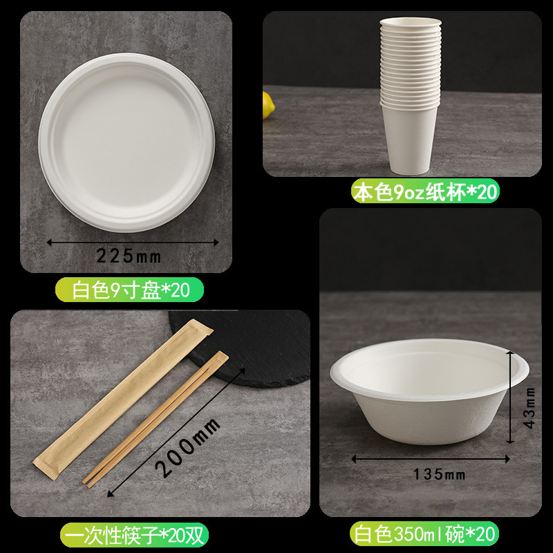 Disposable Party Set – Bowls Plates Cups Cutlery Home Outdoor Eco-Friendly