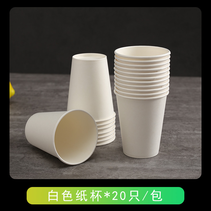 Disposable Party Set – Compostable Bowls Plates Cups Outdoors Eco-Friendly