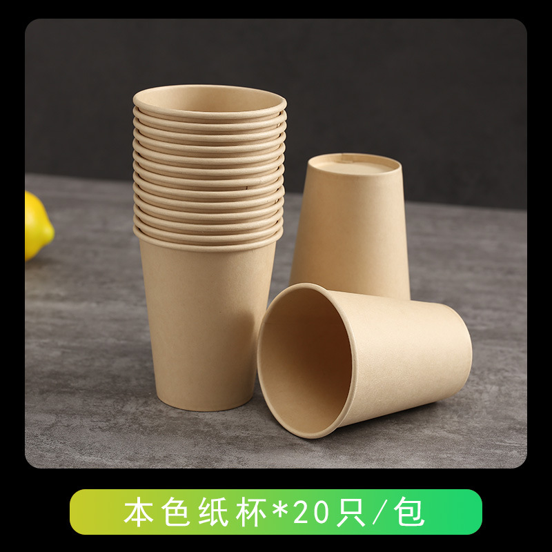 Disposable Party Set – Compostable Bowls Plates Cups Outdoors Eco-Friendly