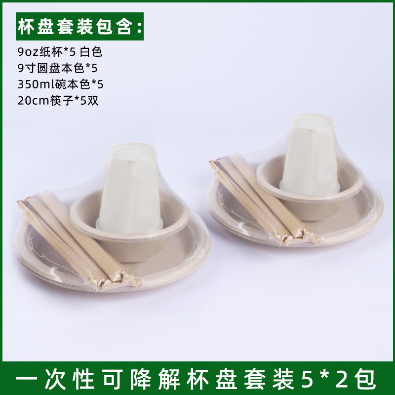 5-Person Disposable Party Tableware Set – Bowls Plates Cups Cutlery Camping Kit