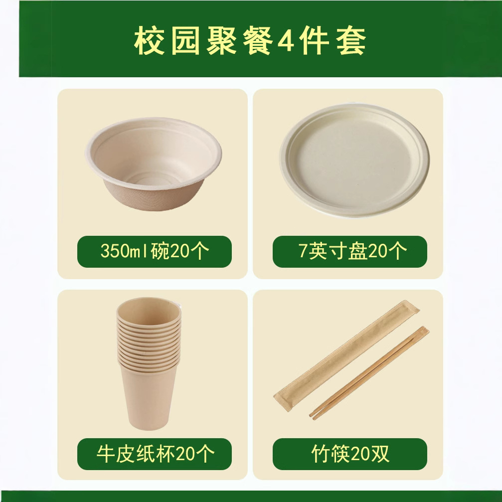 Disposable Party Set – Compostable Bowls Plates Cups Outdoors Eco-Friendly