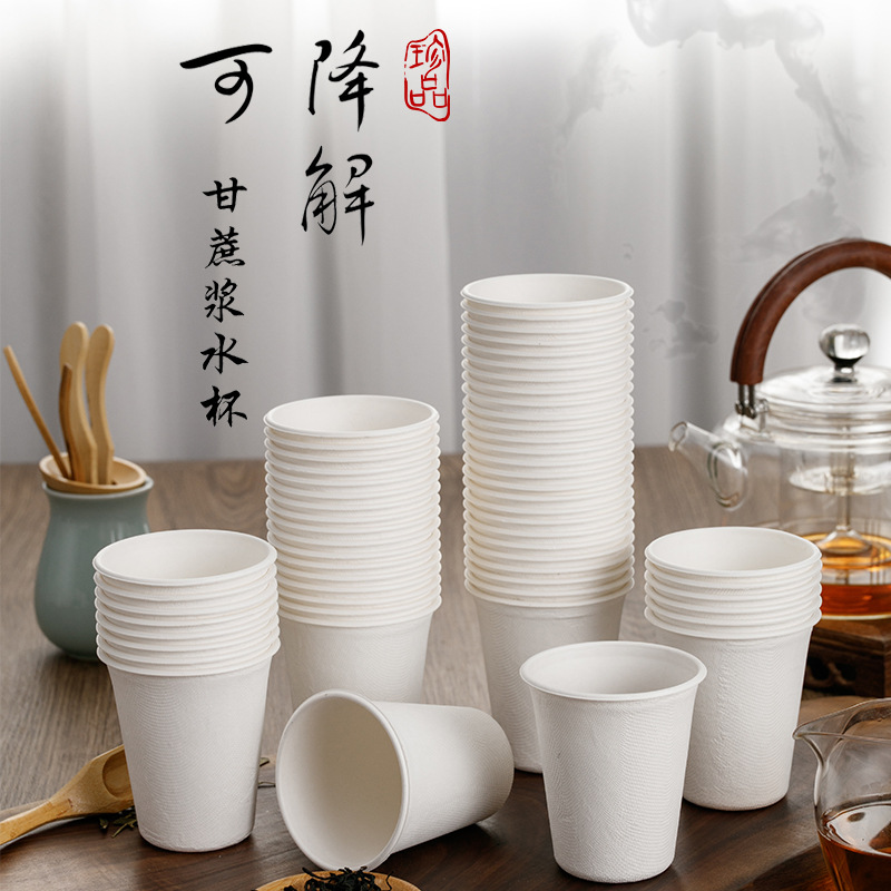 Premium Sugarcane Pulp Paper Cups – Heavy-Duty Disposable Office Tea Coffee Cup