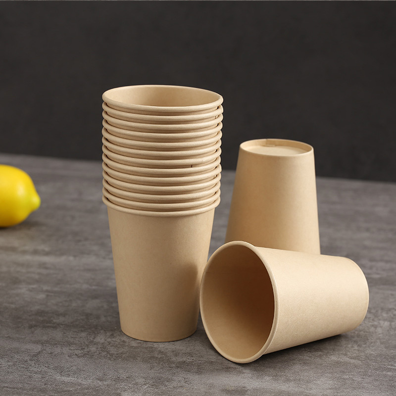 Compostable Outdoor BBQ Party Set – Bowls Plates Cups Fruit Tray Sugarcane Pulp