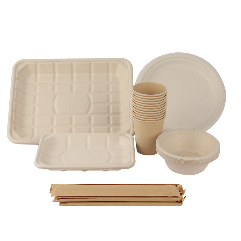 Compostable Outdoor BBQ Party Set – Bowls Plates Cups Fruit Tray Sugarcane Pulp