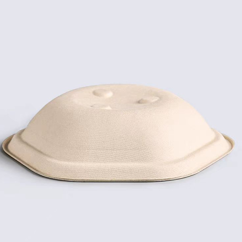 Hexagonal Takeout Bowl with Lid – Pasta Salad Light Meal Bento Container