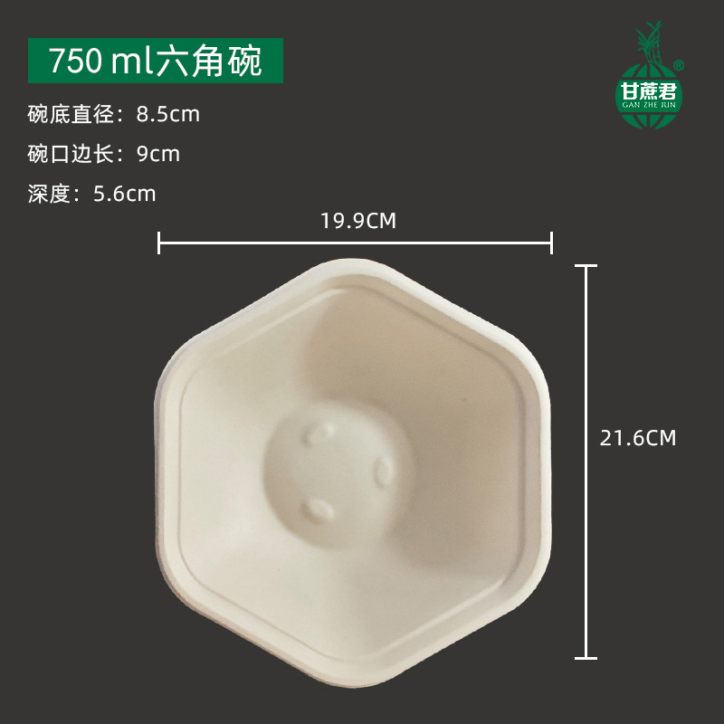 Hexagonal Takeout Bowl with Lid – Pasta Salad Light Meal Bento Container