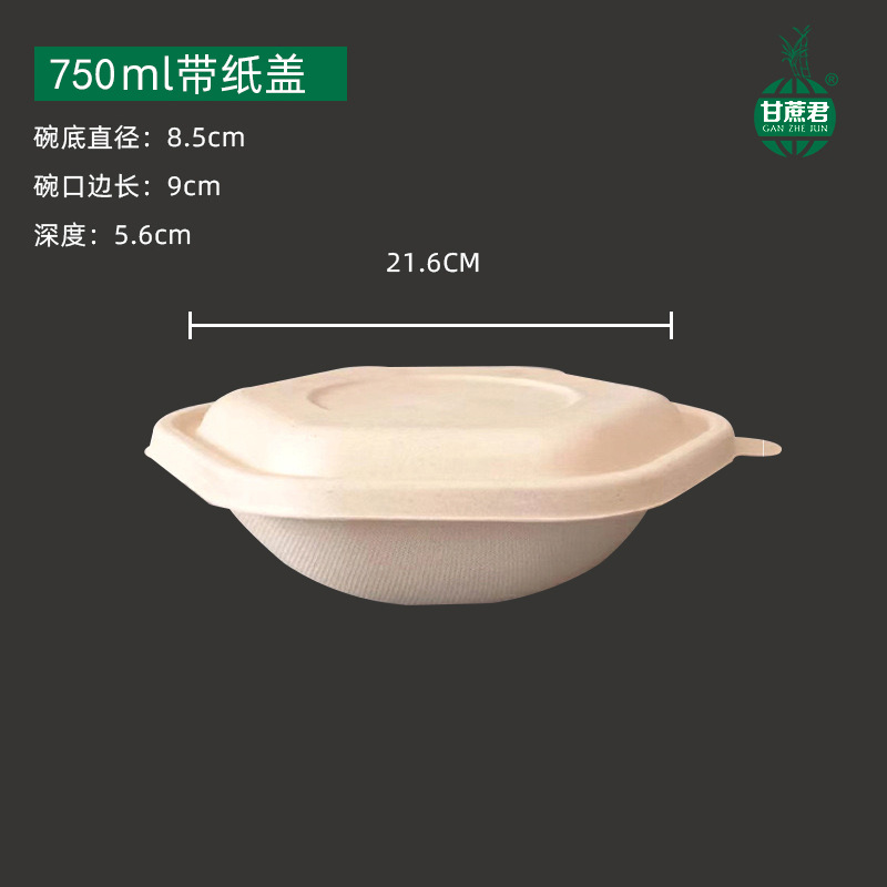 Hexagonal Takeout Bowl with Lid – Pasta Salad Light Meal Bento Container
