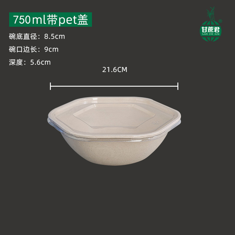 Hexagonal Takeout Bowl with Lid – Pasta Salad Light Meal Bento Container