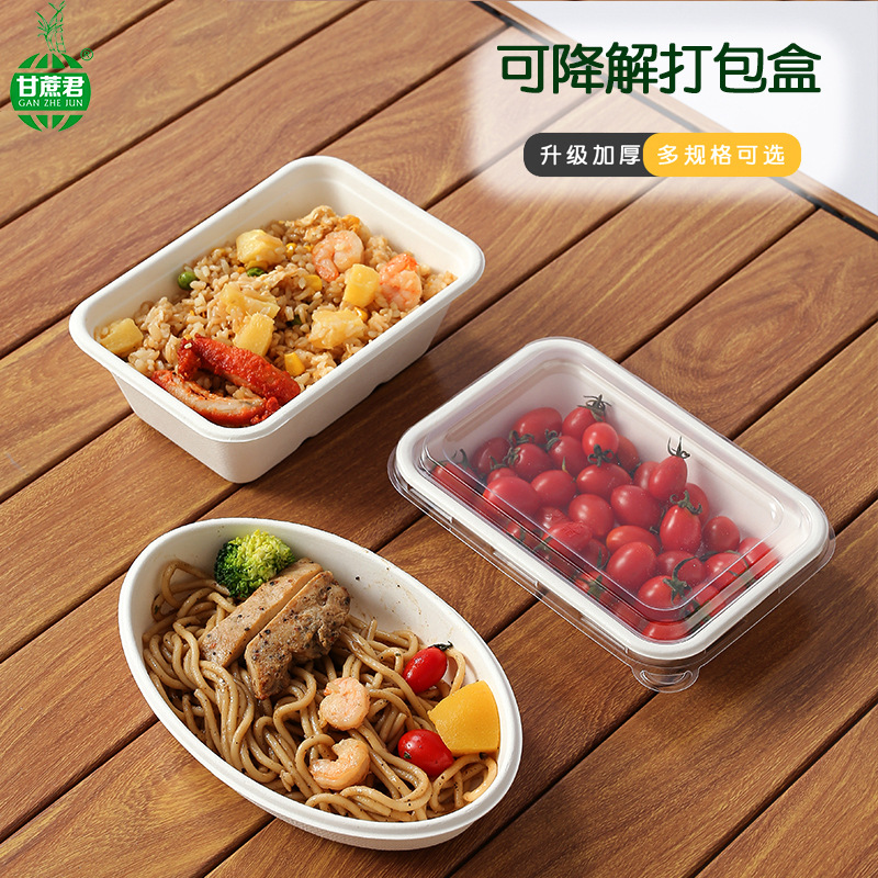Compostable Oval Sugarcane Pulp Bowl – Dessert Salad Picnic Takeout Container