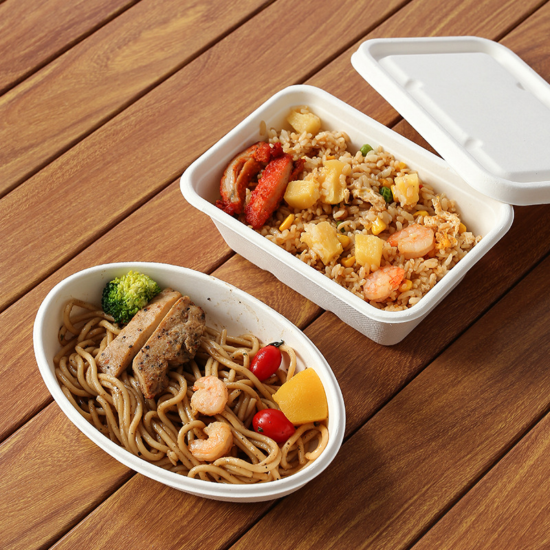 Compostable Oval Sugarcane Pulp Bowl – Dessert Salad Picnic Takeout Container