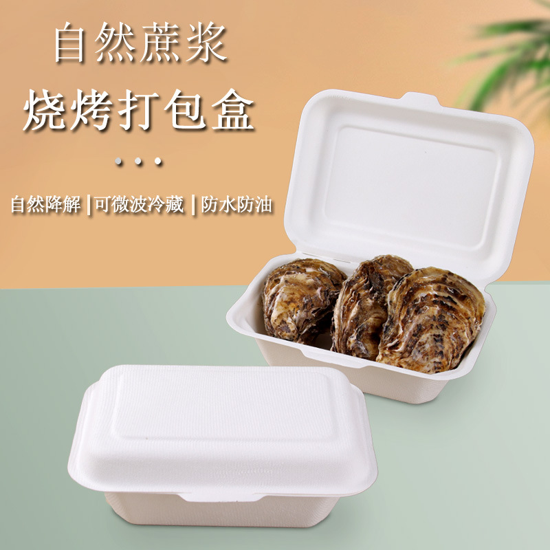 Wholesale Disposable Paper Lunch Box – Fried Rice Noodle BBQ Takeout Container