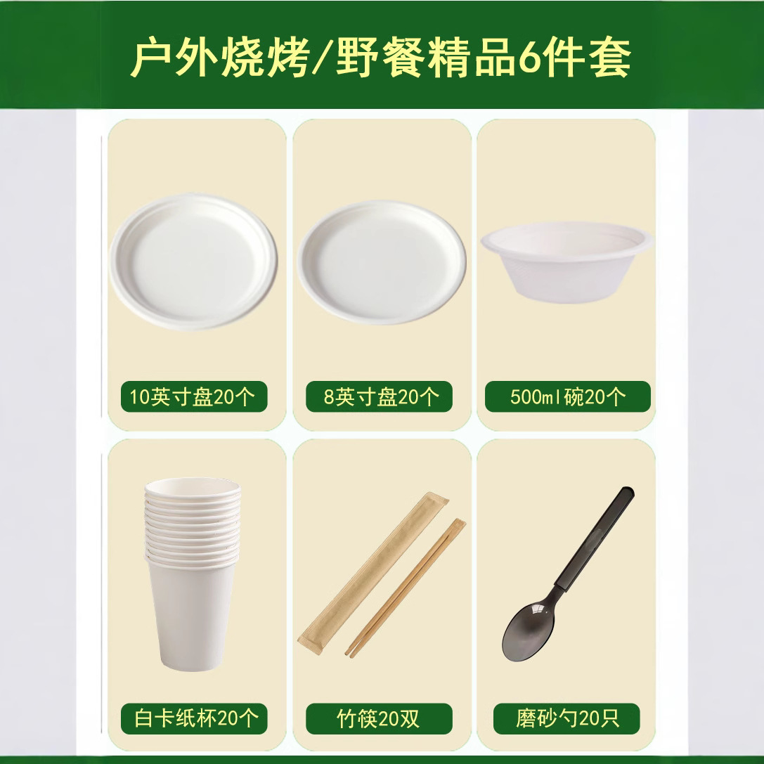 Outdoor Picnic Party Set – Compostable Bowls Plates Cups Cutlery Camping Kit