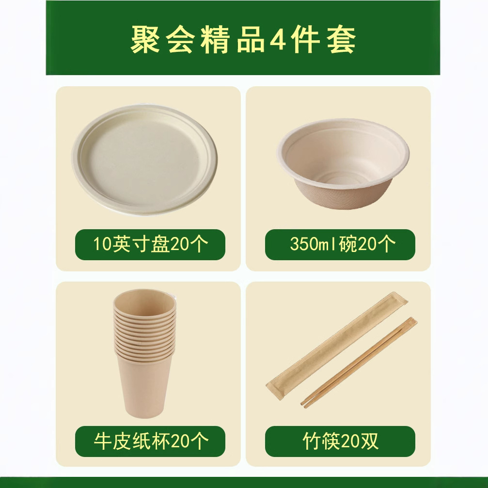 Disposable Party Set – Compostable Bowls Plates Cups Outdoors Eco-Friendly