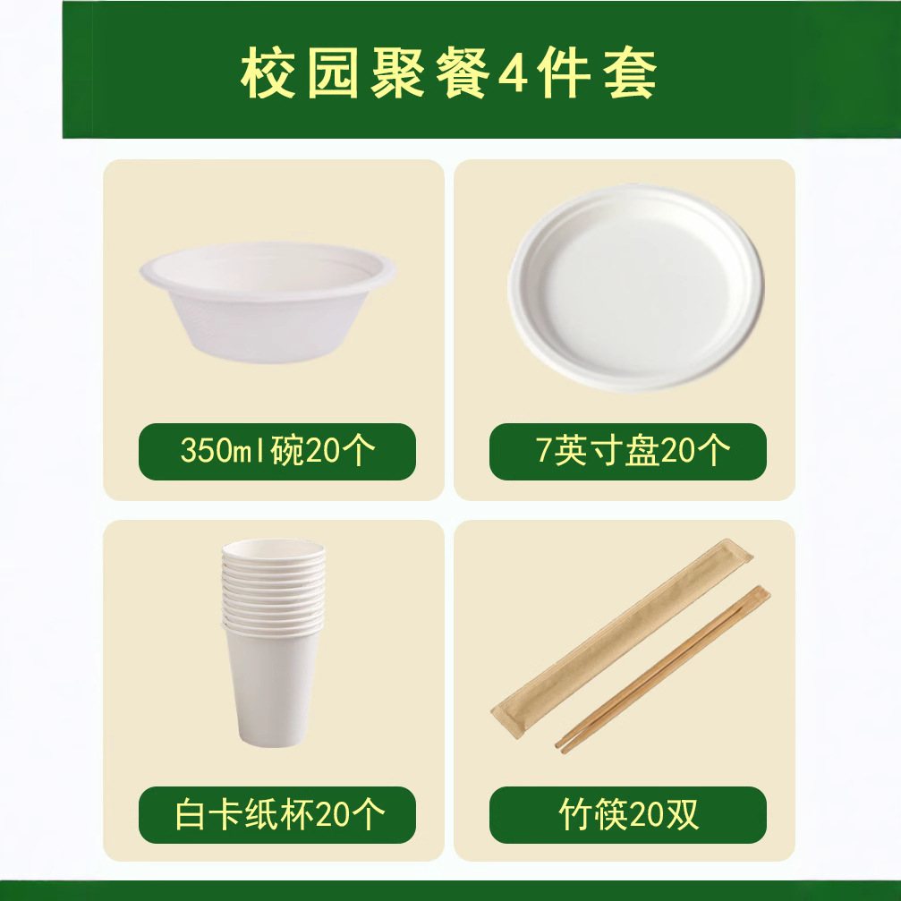 Disposable Party Set – Compostable Bowls Plates Cups Outdoors Eco-Friendly
