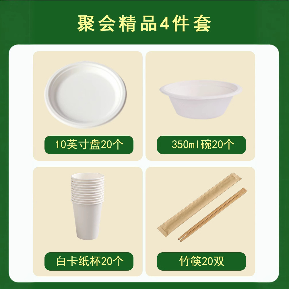 Disposable Party Set – Compostable Bowls Plates Cups Outdoors Eco-Friendly