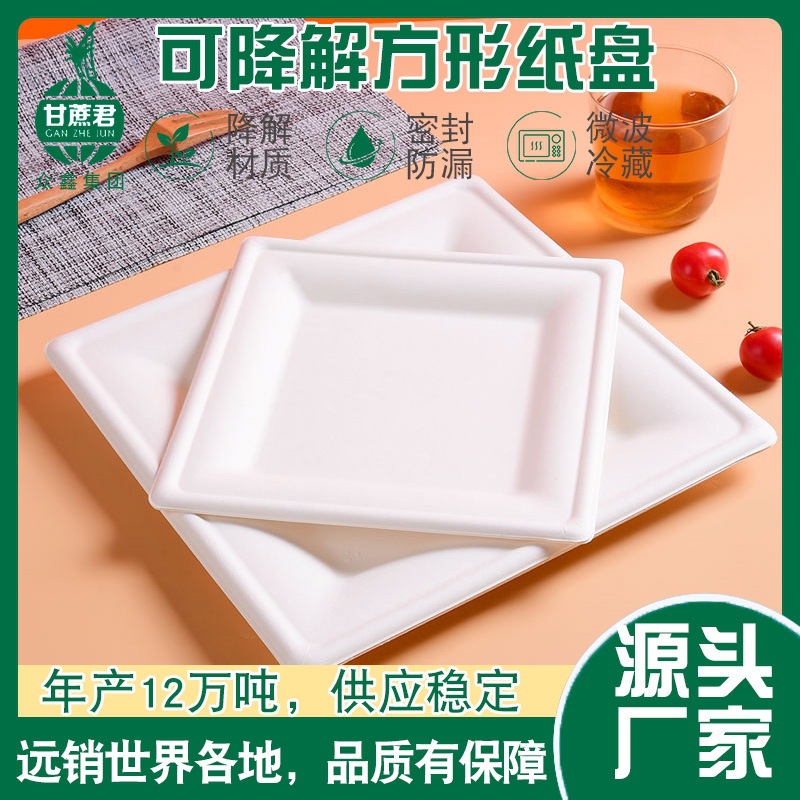 Square Heavy-Duty Biodegradable Paper Plates – Art Craft Picnic 6/8/10 inch