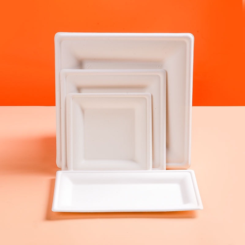 Square Heavy-Duty Biodegradable Paper Plates – Art Craft Picnic 6/8/10 inch