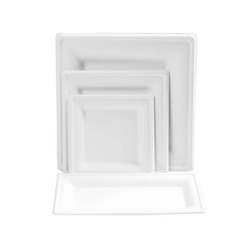 Square Heavy-Duty Biodegradable Paper Plates – Art Craft Picnic 6/8/10 inch