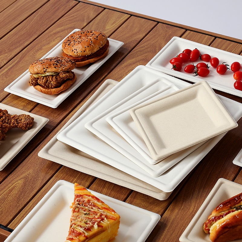 Square Biodegradable Paper Plates – Heavy-Duty Art Craft BBQ Outdoor Picnic Platters