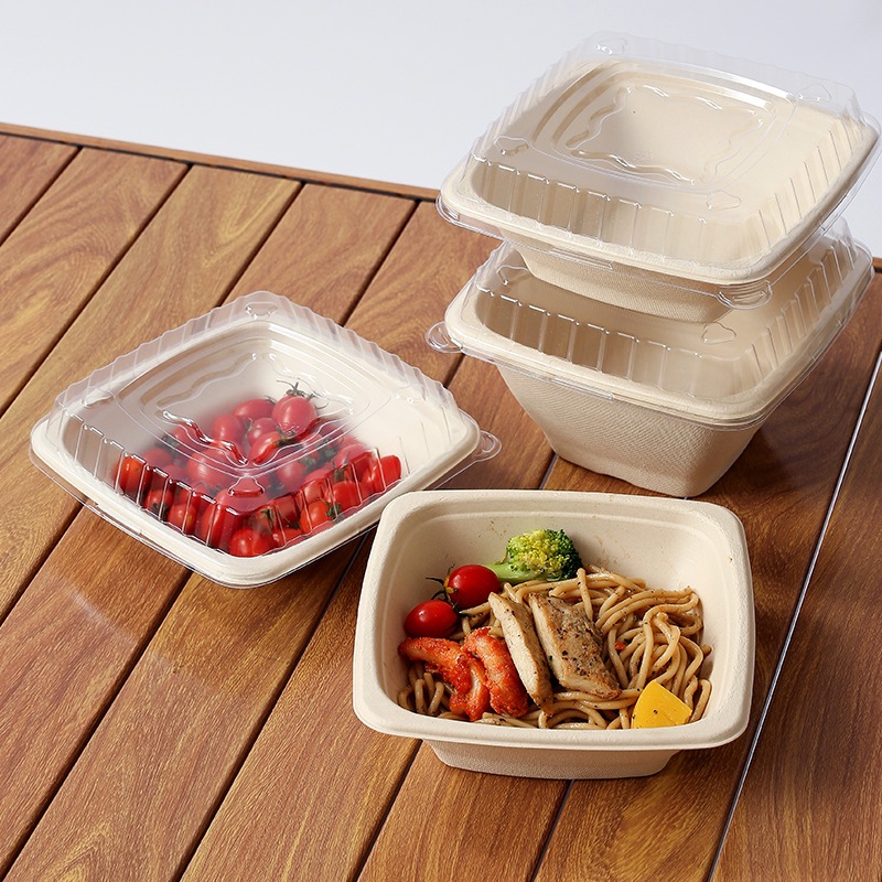 Compostable Pulp Takeout Square Bowl – Light Meal Salad Noodle 750-1200ml Container