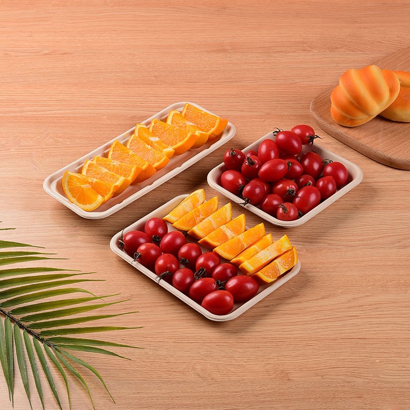 Business Fruit & Vegetable Serving Tray – Compostable Sugarcane Pulp BBQ Platter