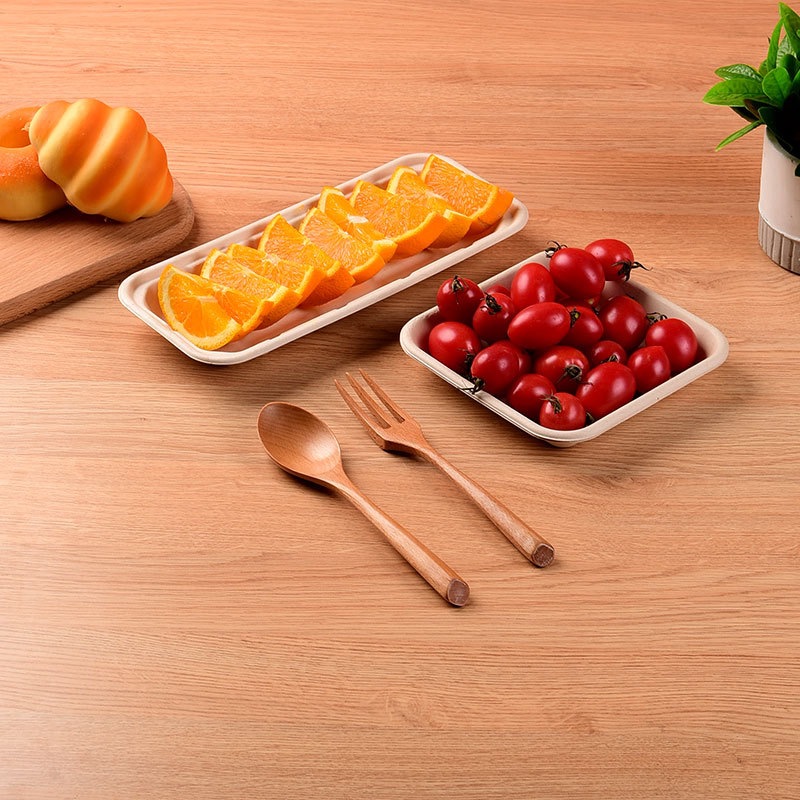 Business Fruit & Vegetable Serving Tray – Compostable Sugarcane Pulp BBQ Platter