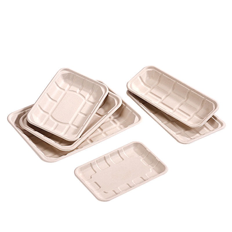 Business Fruit & Vegetable Serving Tray – Compostable Sugarcane Pulp BBQ Platter