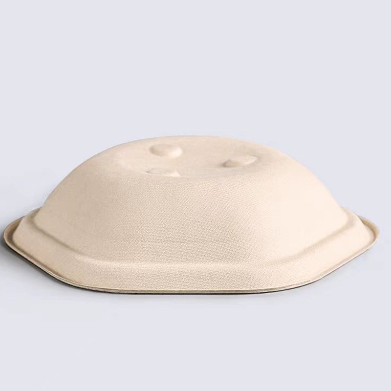 Hexagonal Takeout Bowl with Lid – Pasta Salad Light Meal Bento Container