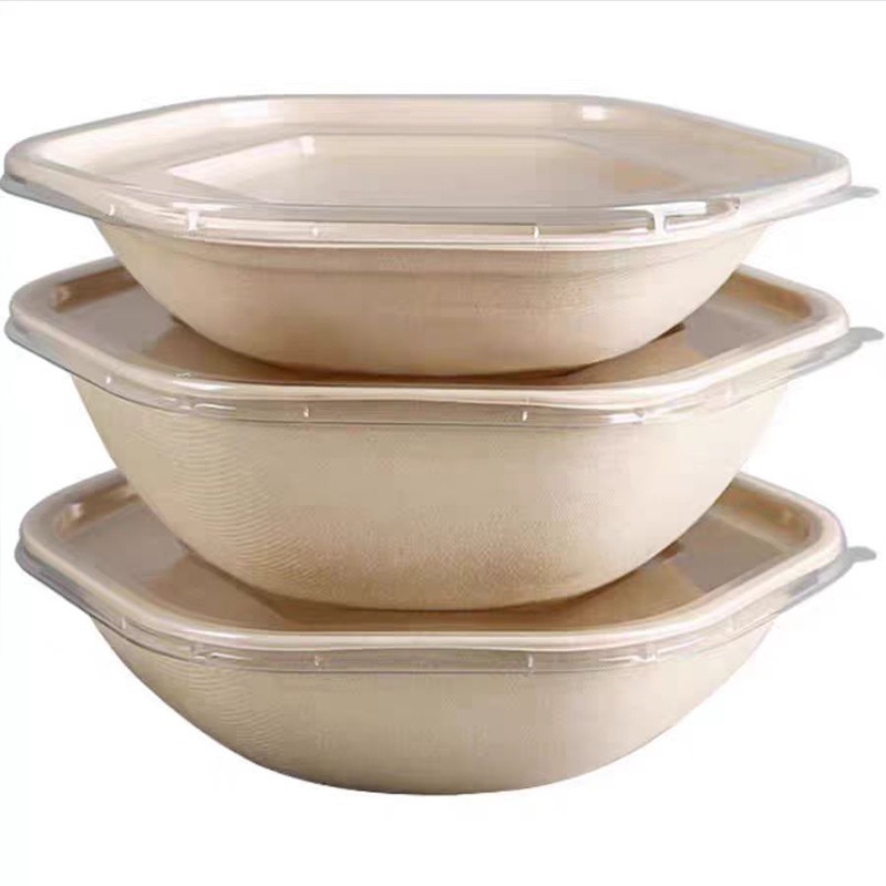 Hexagonal Takeout Bowl with Lid – Pasta Salad Light Meal Bento Container