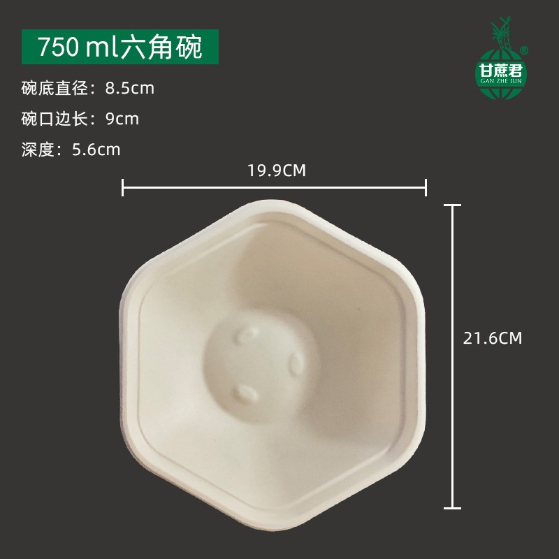 Hexagonal Takeout Bowl with Lid – Pasta Salad Light Meal Bento Container