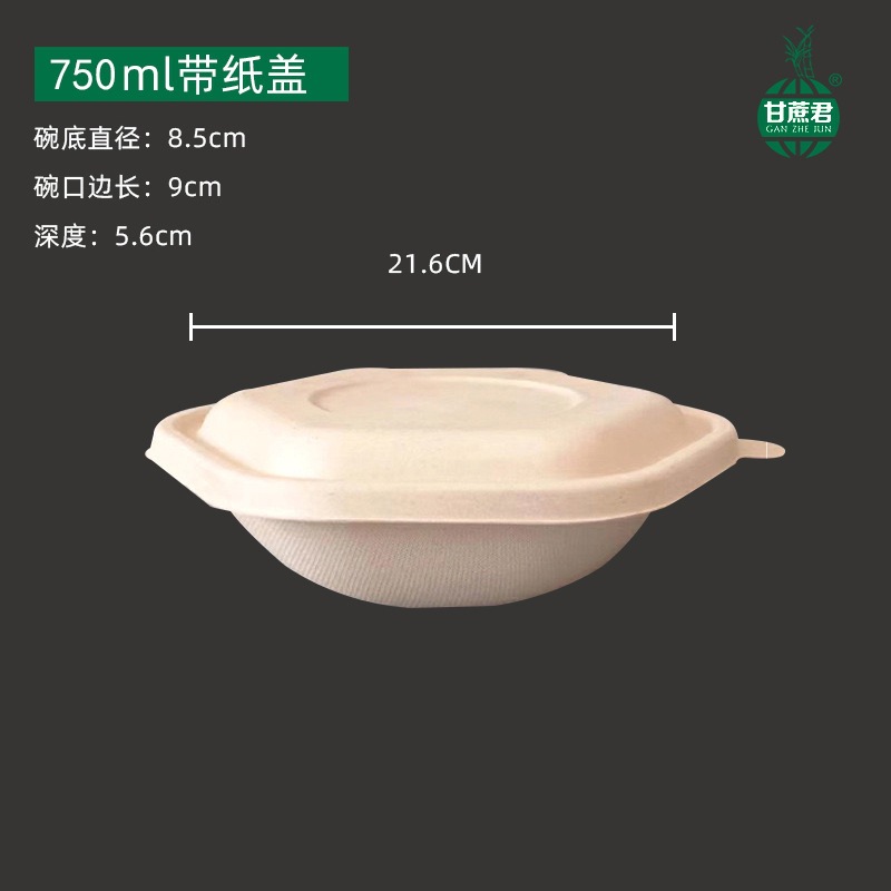 Hexagonal Takeout Bowl with Lid – Pasta Salad Light Meal Bento Container