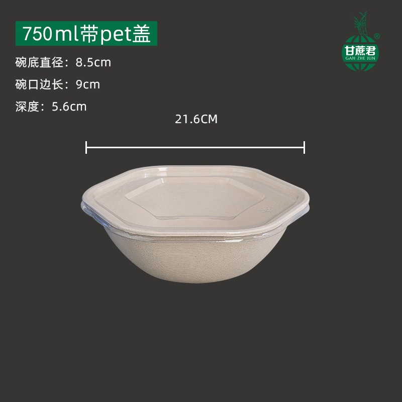 Hexagonal Takeout Bowl with Lid – Pasta Salad Light Meal Bento Container