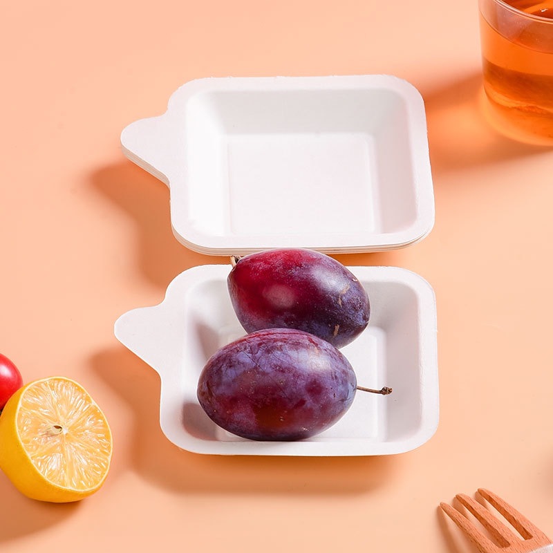 Compostable 5-Pack Cake Plate Set – Heart & Square Sugarcane Pulp Platters
