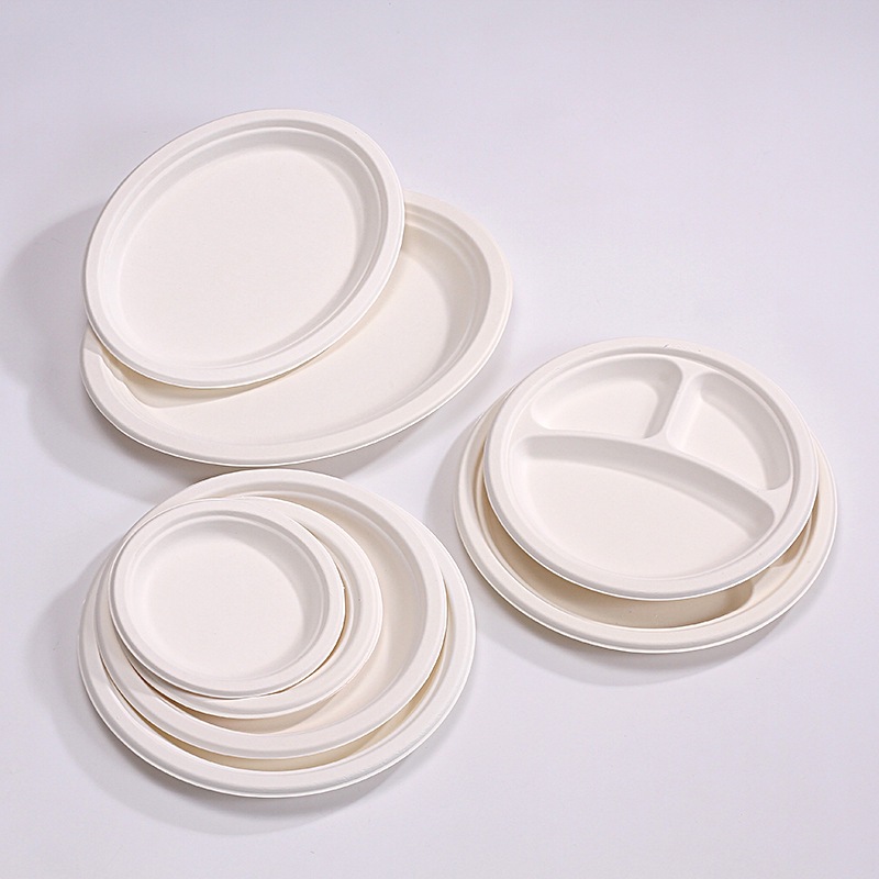 Compostable Round Paper Bowls & Plates – Disposable Cake Kids Art Party Platters