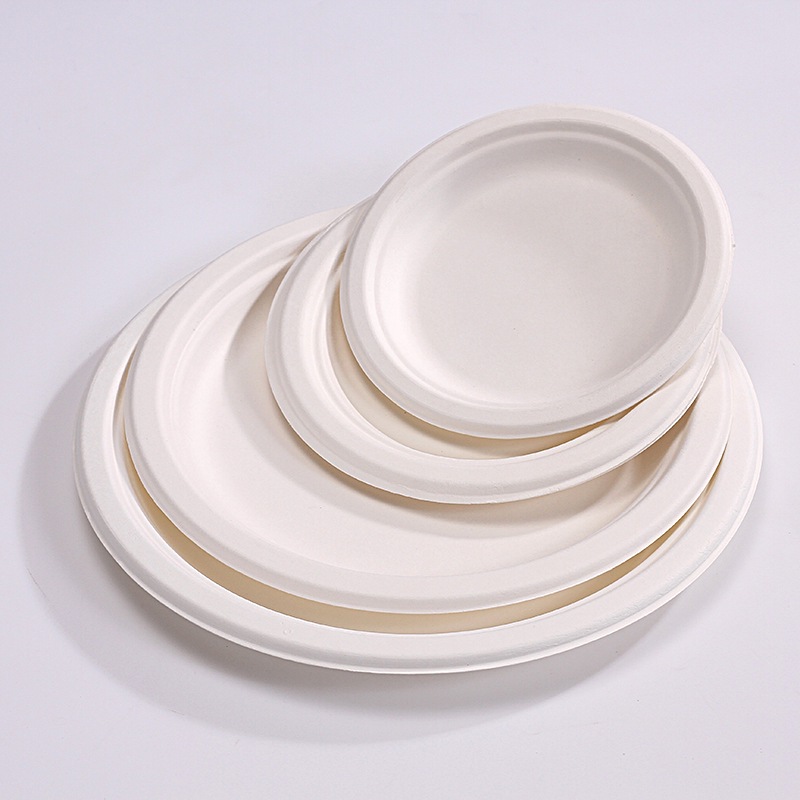 Compostable Round Paper Bowls & Plates – Disposable Cake Kids Art Party Platters