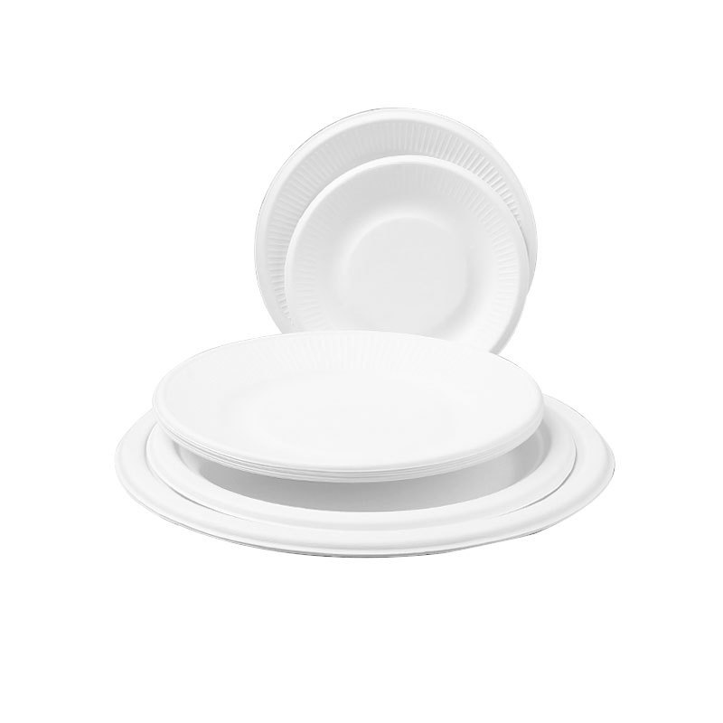 Compostable Round Paper Bowls & Plates – Disposable Cake Kids Art Party Platters