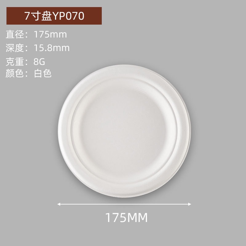 Compostable Round Paper Bowls & Plates – Disposable Cake Kids Art Party Platters