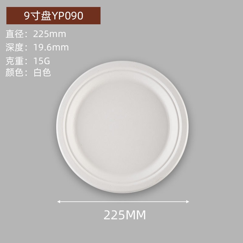 Compostable Round Paper Bowls & Plates – Disposable Cake Kids Art Party Platters