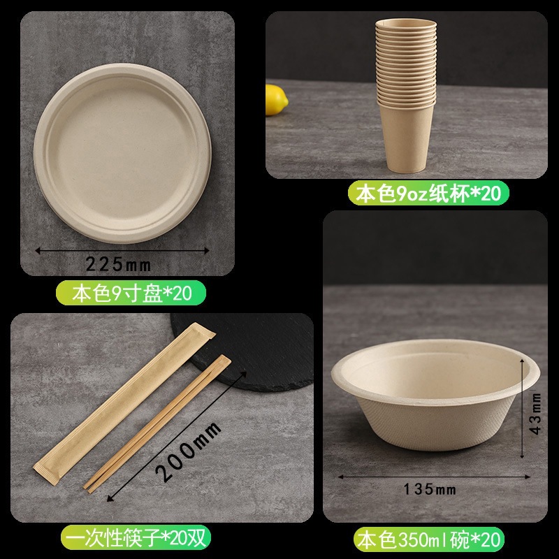Compostable Paper Plate & Bowl Cutlery Set – Sugarcane Pulp BBQ Camping Heavy-Duty