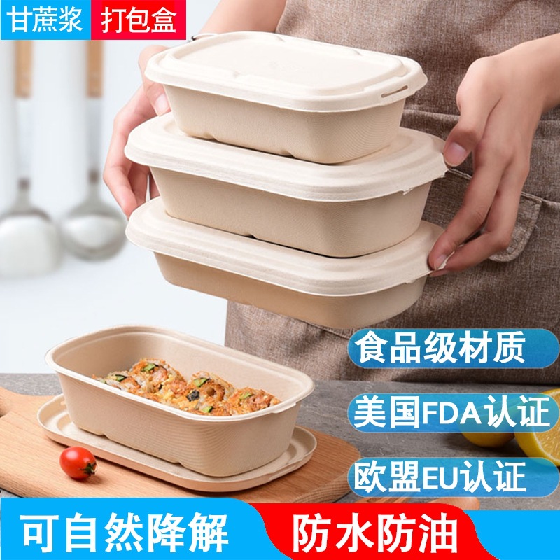 Compostable Salad Bento Box – Fitness Light Meal Mochi Divided Takeout Container