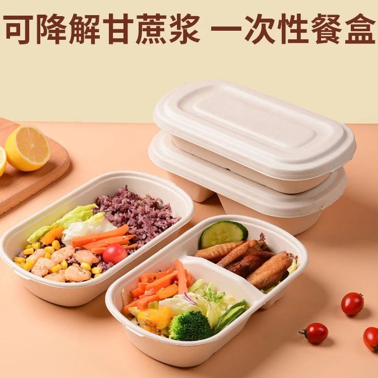 Compostable Salad Bento Box – Fitness Light Meal Mochi Divided Takeout Container